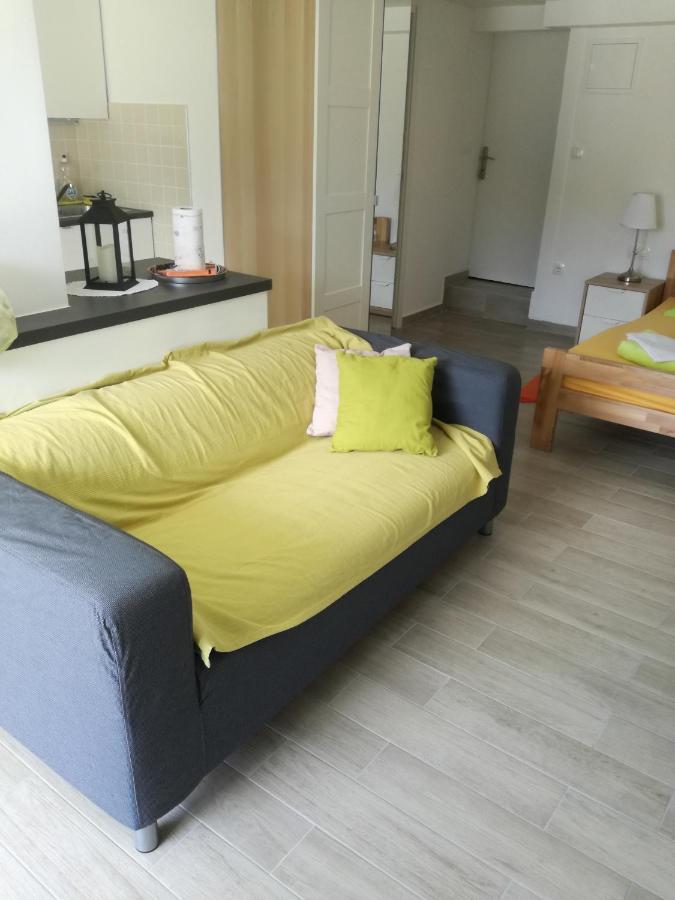 Apartment Dvorska ツリクヴェニツァ エクステリア 写真